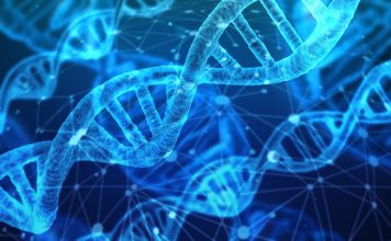 Pourquoi n’avons-nous pas encore guéri le cancer ? Recherche contre le cancer