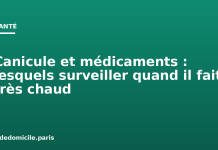 Canicule et médicaments : lesquels surveiller quand il fait très chaud Canicule et médicaments : lesquels surveiller quand il fait très chaud