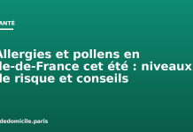 Allergies et pollens en Île-de-France cet été : niveaux de risque et conseils Allergies et pollens en Île-de-France cet été : niveaux de risque et conseils