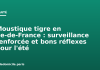 Moustique tigre en Île-de-France : surveillance renforcée et bons réflexes pour l’été Moustique tigre en Île-de-France : surveillance renforcée et bons réflexes pour l'été