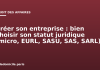 Créer son entreprise : bien choisir son statut juridique (micro, EURL, SASU, SAS, SARL) Créer son entreprise : bien choisir son statut juridique (micro, EURL, SASU, SAS, SARL)