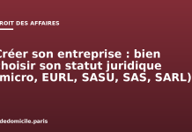 Créer son entreprise : bien choisir son statut juridique (micro, EURL, SASU, SAS, SARL) Créer son entreprise : bien choisir son statut juridique (micro, EURL, SASU, SAS, SARL)