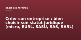 Créer son entreprise : bien choisir son statut juridique (micro, EURL, SASU, SAS, SARL) Créer son entreprise : bien choisir son statut juridique (micro, EURL, SASU, SAS, SARL)
