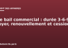 Le bail commercial : durée 3-6-9, loyer, renouvellement et cession Le bail commercial : durée 3-6-9, loyer, renouvellement et cession