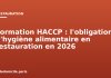 Formation HACCP : l’obligation d’hygiène alimentaire en restauration en 2026 Formation HACCP : l'obligation d'hygiène alimentaire en restauration en 2026