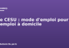 Le CESU : mode d’emploi pour l’emploi à domicile Le CESU : mode d'emploi pour l'emploi à domicile