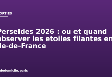 Perséides 2026 : où et quand observer les étoiles filantes en Île-de-France Perseides 2026 : ou et quand observer les etoiles filantes en Ile-de-France