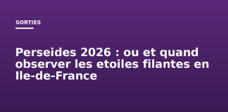 Perséides 2026 : où et quand observer les étoiles filantes en Île-de-France Perseides 2026 : ou et quand observer les etoiles filantes en Ile-de-France