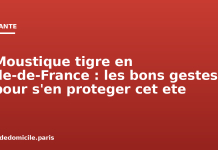 Moustique tigre en Île-de-France : les bons gestes pour s’en protéger cet été Moustique tigre en Ile-de-France : les bons gestes pour s'en proteger cet ete