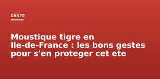 Moustique tigre en Île-de-France : les bons gestes pour s’en protéger cet été Moustique tigre en Ile-de-France : les bons gestes pour s'en proteger cet ete