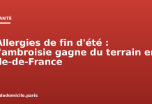 Allergies de fin d’été : l’ambroisie gagne du terrain en Île-de-France Allergies de fin d'été : l'ambroisie gagne du terrain en Île-de-France