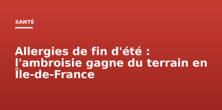Allergies de fin d’été : l’ambroisie gagne du terrain en Île-de-France Allergies de fin d'été : l'ambroisie gagne du terrain en Île-de-France