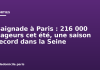 Baignade à Paris : 216 000 nageurs cet été, une saison record dans la Seine Baignade à Paris : 216 000 nageurs cet été, une saison record dans la Seine