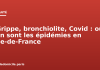 Grippe, bronchiolite, Covid : où en sont les épidémies en Île-de-France Grippe, bronchiolite, Covid : où en sont les épidémies en Île-de-France