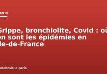 Grippe, bronchiolite, Covid : où en sont les épidémies en Île-de-France Grippe, bronchiolite, Covid : où en sont les épidémies en Île-de-France