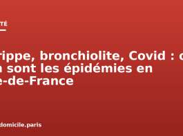 Grippe, bronchiolite, Covid : où en sont les épidémies en Île-de-France Grippe, bronchiolite, Covid : où en sont les épidémies en Île-de-France
