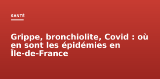 Grippe, bronchiolite, Covid : où en sont les épidémies en Île-de-France Grippe, bronchiolite, Covid : où en sont les épidémies en Île-de-France