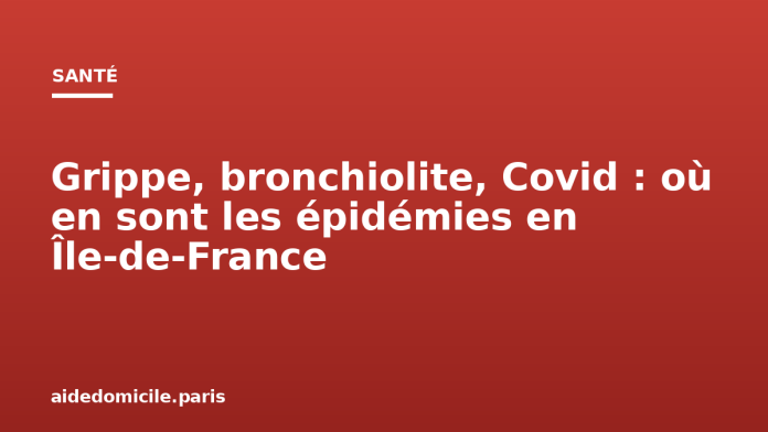 Grippe, bronchiolite, Covid : où en sont les épidémies en Île de France Grippe, bronchiolite, Covid : où en sont les épidémies en Île-de-France
