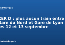 RER D : plus aucun train entre Gare du Nord et Gare de Lyon les 12 et 13 septembre RER D : plus aucun train entre Gare du Nord et Gare de Lyon les 12 et 13 septembre
