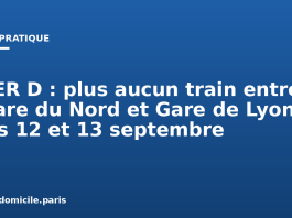 RER D : plus aucun train entre Gare du Nord et Gare de Lyon les 12 et 13 septembre RER D : plus aucun train entre Gare du Nord et Gare de Lyon les 12 et 13 septembre