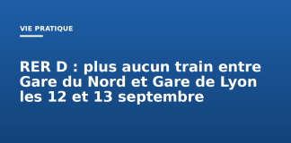 RER D : plus aucun train entre Gare du Nord et Gare de Lyon les 12 et 13 septembre RER D : plus aucun train entre Gare du Nord et Gare de Lyon les 12 et 13 septembre