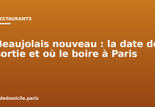 Beaujolais nouveau : la date de sortie et où le boire à Paris Beaujolais nouveau : la date de sortie et où le boire à Paris