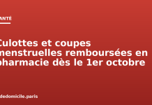 Culottes et coupes menstruelles remboursées en pharmacie dès le 1er octobre Culottes et coupes menstruelles remboursées en pharmacie dès le 1er octobre