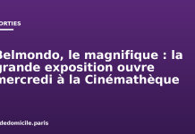 Belmondo, le magnifique : la grande exposition ouvre mercredi à la Cinémathèque Belmondo, le magnifique : la grande exposition ouvre mercredi à la Cinémathèque