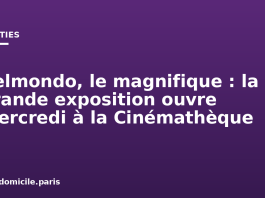 Belmondo, le magnifique : la grande exposition ouvre mercredi à la Cinémathèque Belmondo, le magnifique : la grande exposition ouvre mercredi à la Cinémathèque