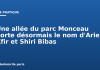 Une allée du parc Monceau porte désormais le nom d’Ariel, Kfir et Shiri Bibas Une allée du parc Monceau porte désormais le nom d'Ariel, Kfir et Shiri Bibas
