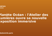 Planète Océan : l’Atelier des Lumières ouvre sa nouvelle exposition immersive Planète Océan : l'Atelier des Lumières ouvre sa nouvelle exposition immersive