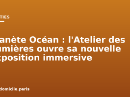 Planète Océan : l’Atelier des Lumières ouvre sa nouvelle exposition immersive Planète Océan : l'Atelier des Lumières ouvre sa nouvelle exposition immersive