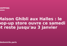 Maison Ghibli aux Halles : le pop-up store ouvre ce samedi et reste jusqu’au 3 janvier Maison Ghibli aux Halles : le pop-up store ouvre ce samedi et reste jusqu'au 3 janvier