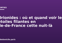 Orionides : où et quand voir les étoiles filantes en Île-de-France cette nuit-là Orionides : où et quand voir les étoiles filantes en Île-de-France cette nuit-là